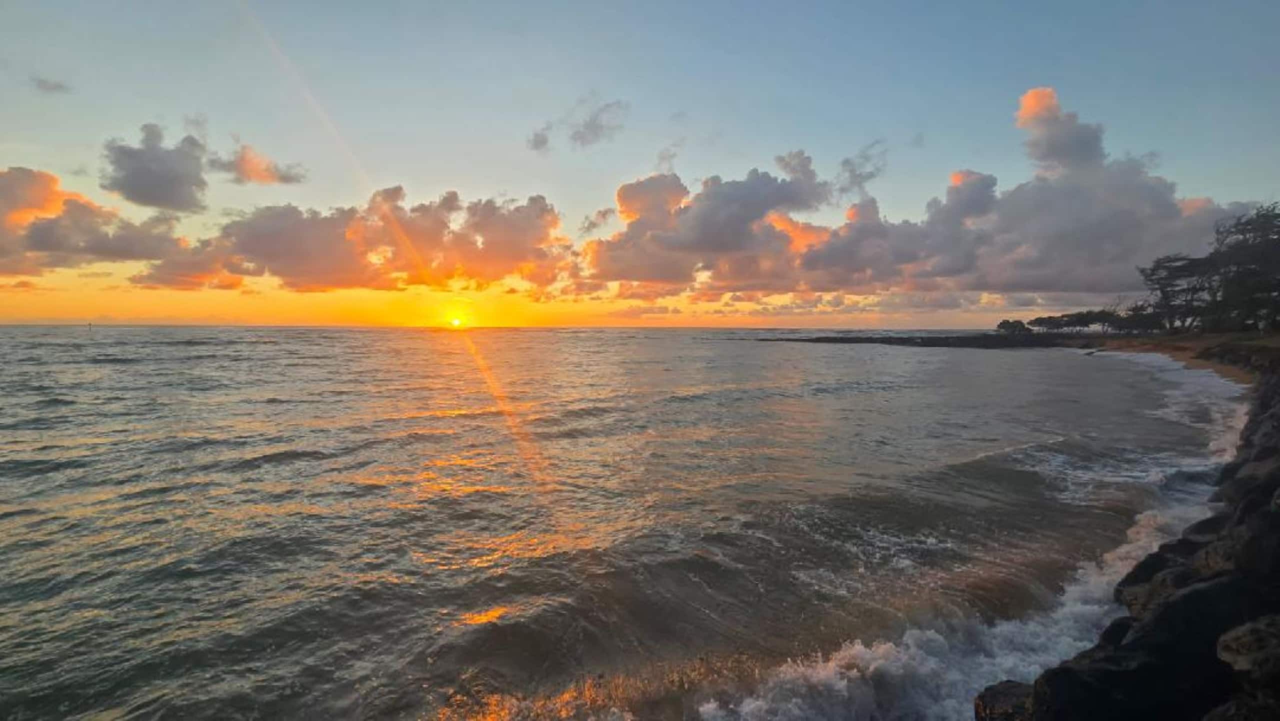 Condo in Kapaa · ★4.65 · 1 bedroom · 2 beds · 1 shared bath - Image 49