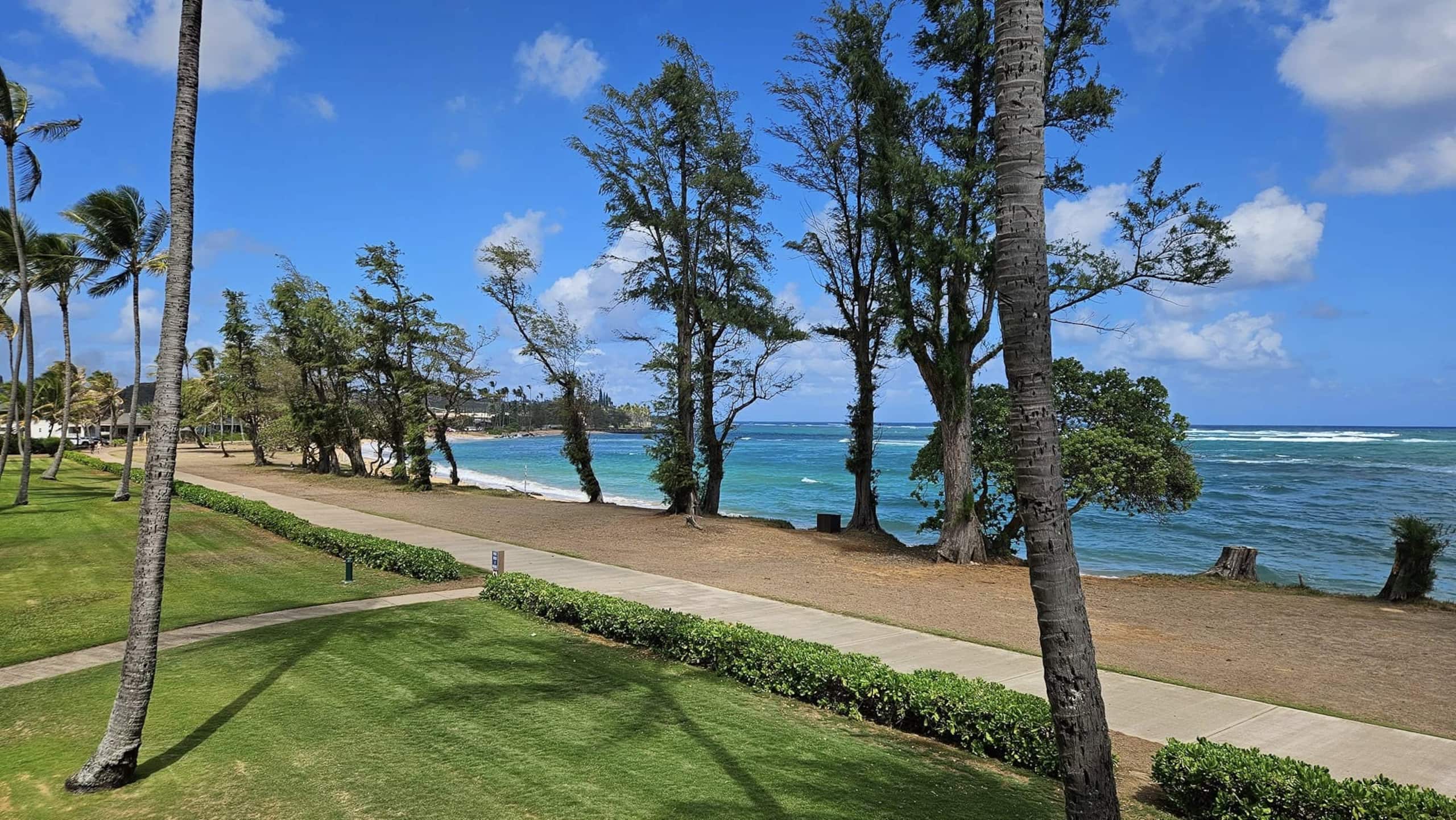 Condo in Kapaa · ★4.65 · 1 bedroom · 2 beds · 1 shared bath - Image 46