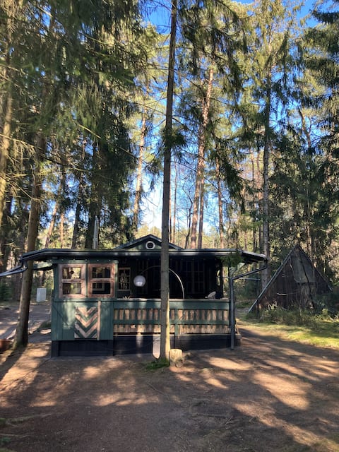 Nest in the forest
(with tree house)