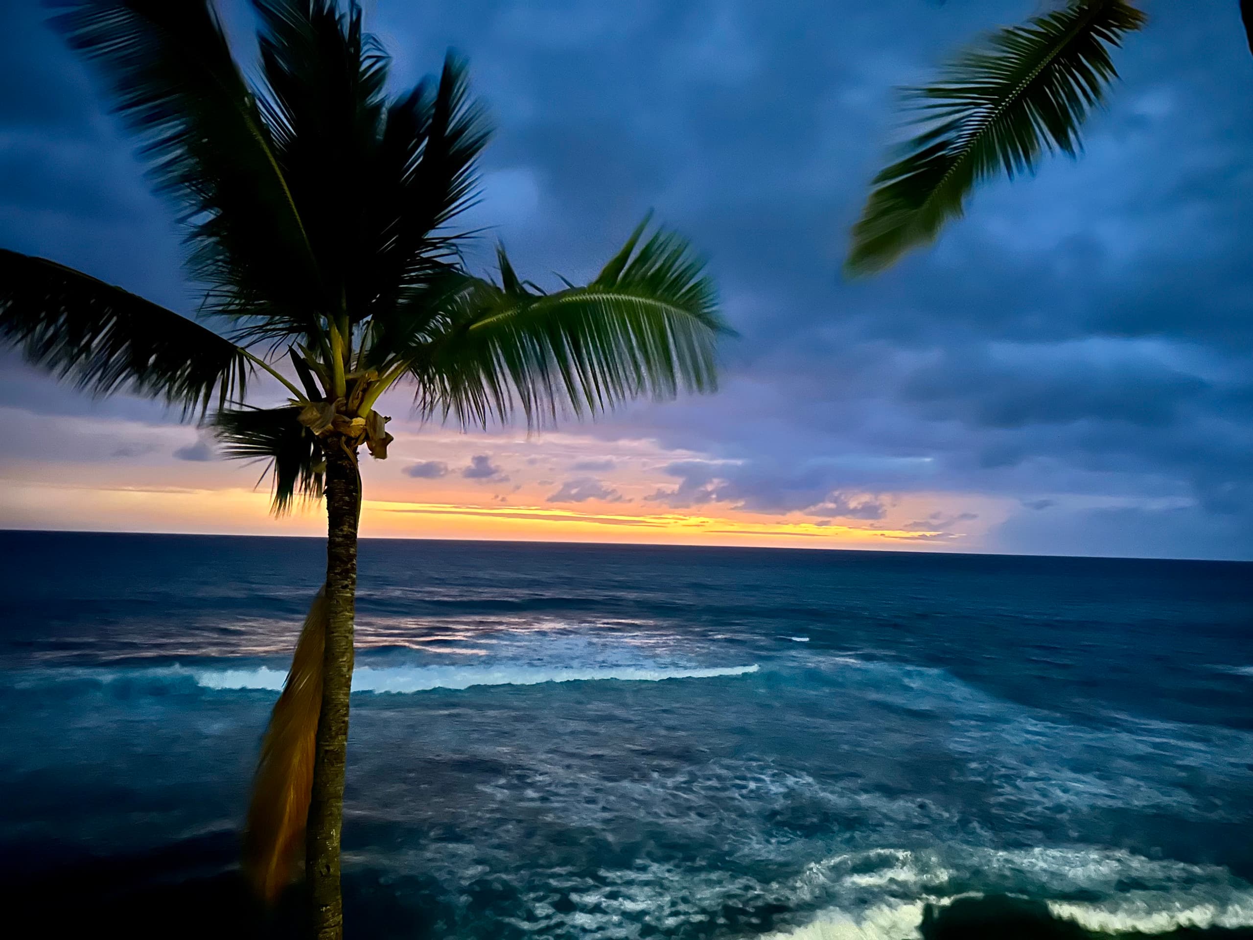 Condo in Kailua-Kona · ★4.95 · 2 bedrooms · 4 beds · 2 baths - Image 29