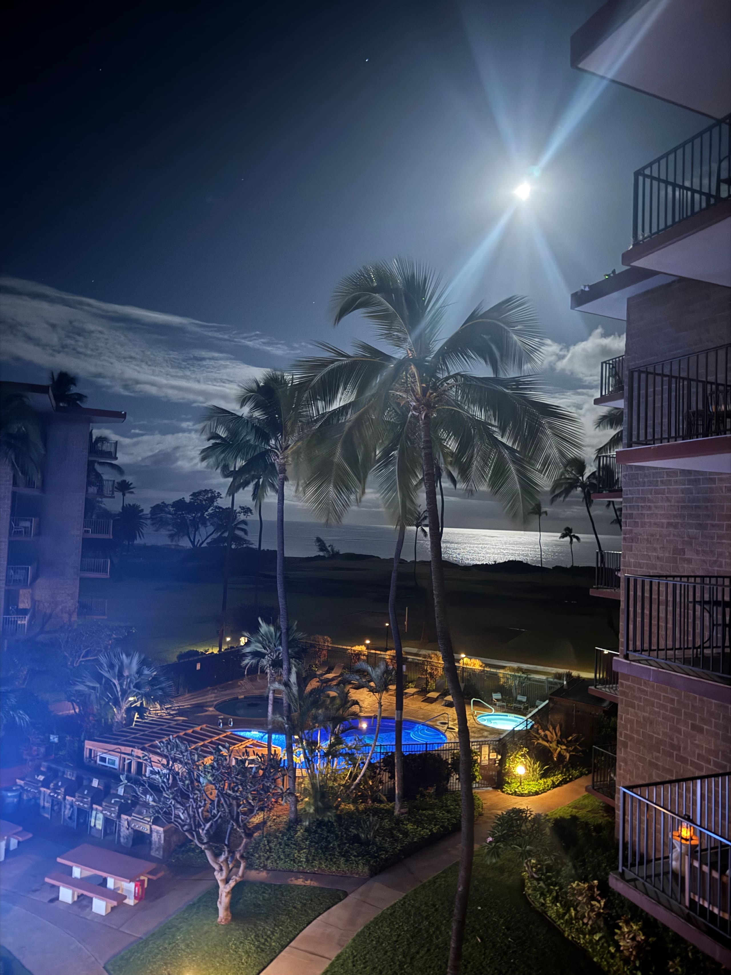 Condo in Kihei · ★4.98 · 1 bedroom · 1 bed · 1 bath - Image 16