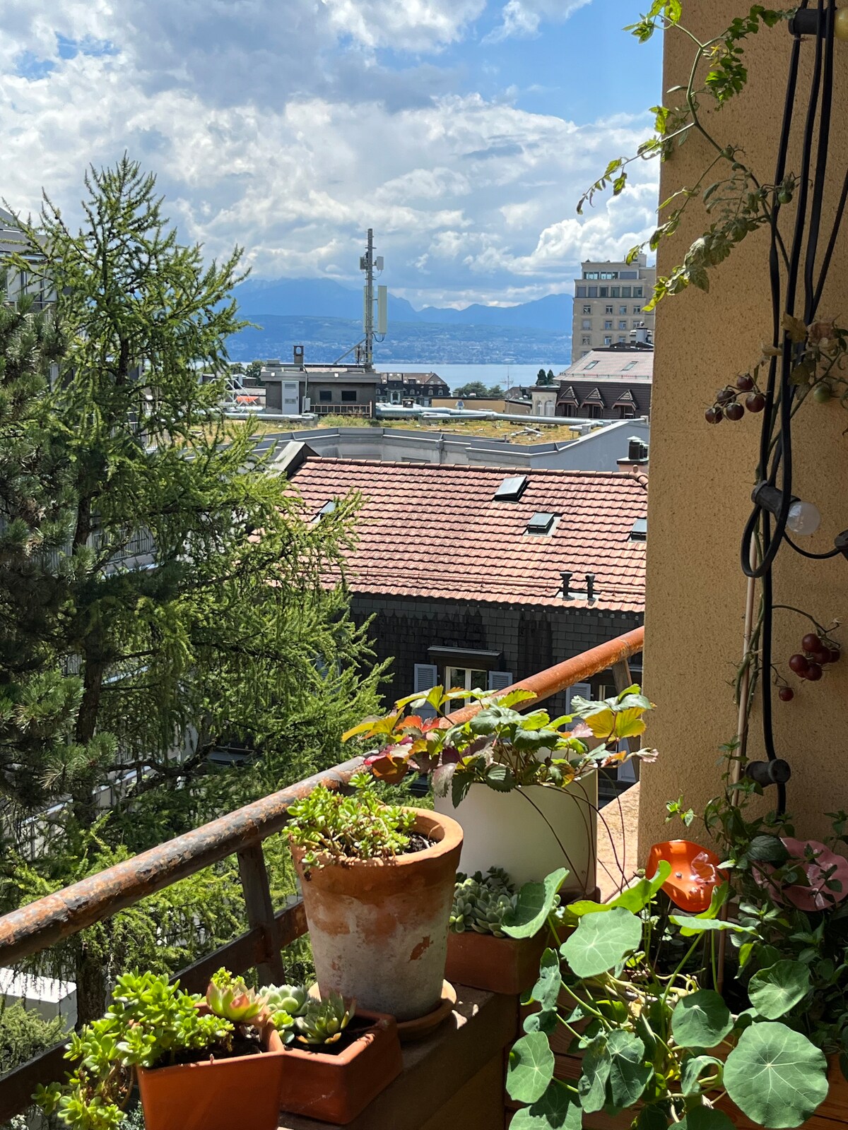 A balcony view reveals a collection of potted plants, varying in size and greenery. The surrounding area features rooftops, and a distant mountain range is visible under a partly cloudy sky. The scene conveys a tranquil outdoor space perfect for enjoying fresh air.
