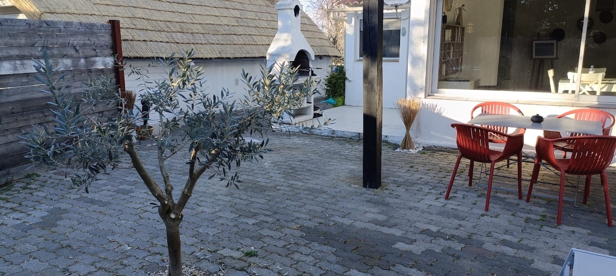 An outdoor space is presented with a small olive tree planted in the foreground, surrounded by a paved area. A barbecue stands to one side, complemented by a round table and red chairs, enhancing the setting for relaxation and dining.