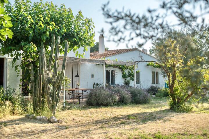 Mas Tamariu. Eco house en la playa. Illes Medes