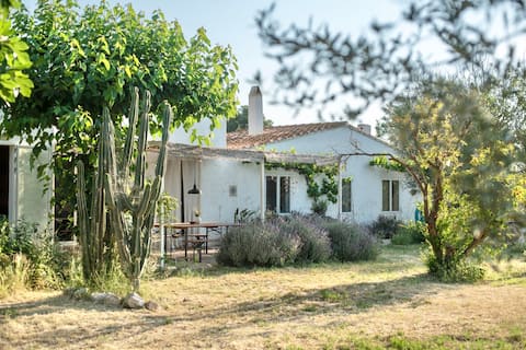 Successful Airbnb property: Mas Tamariu. Eco house on the beach. Illes Medes in Torroella De Montgrí