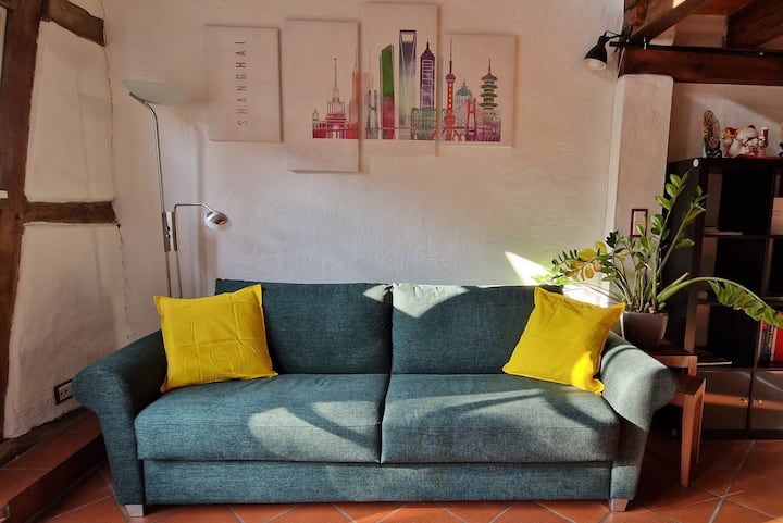 Loft In Alter Scheune Zum Wohnen Und Arbeiten - Pfungstadt