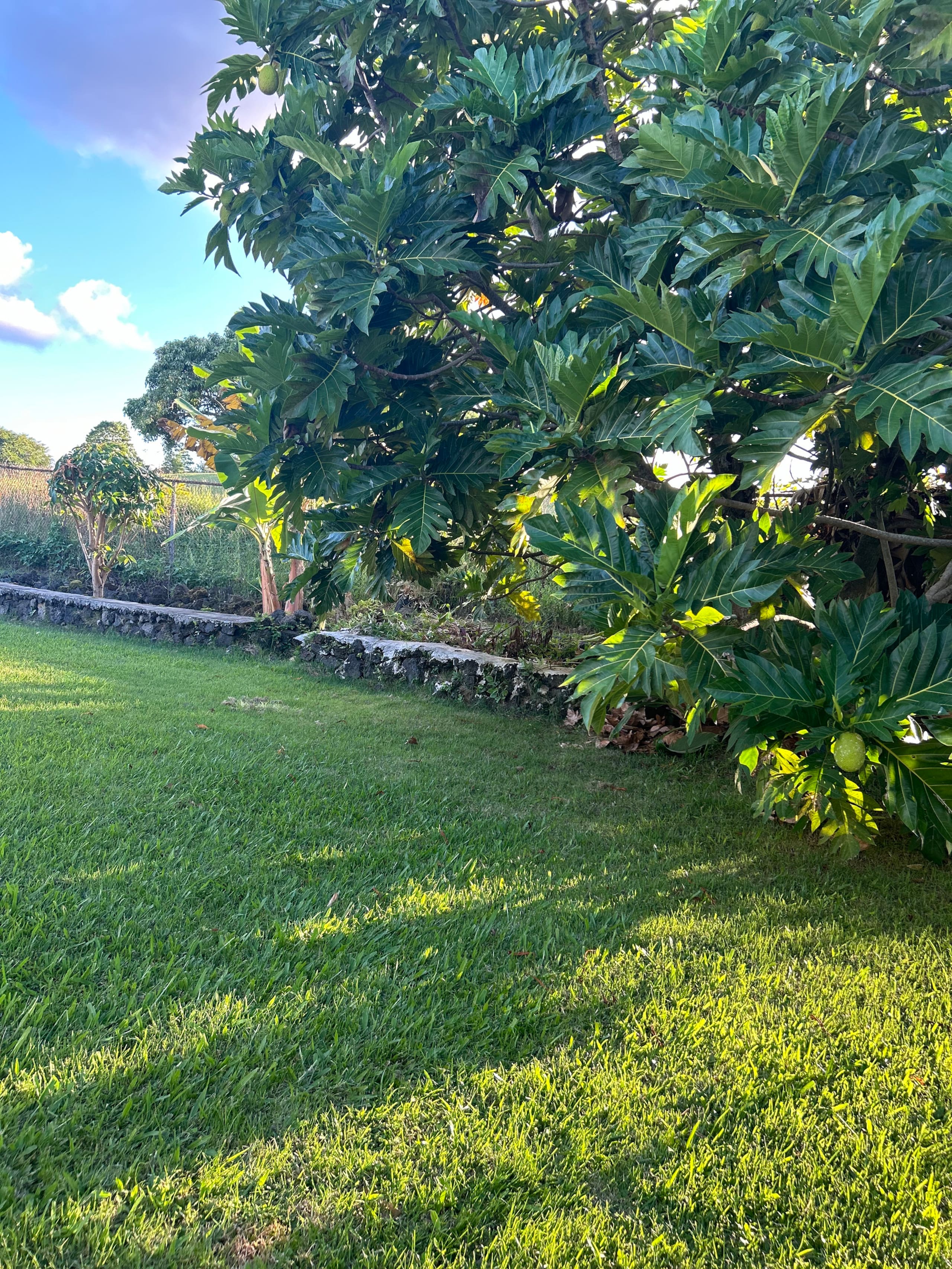 Puakenikeni Hilo Hale - Image 7