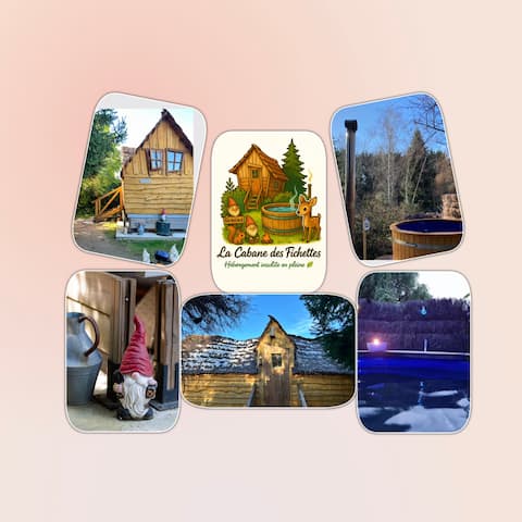 Tiny house and its spa between Loire and Sologne