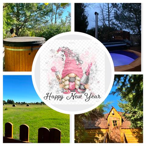 Tiny house and its spa between Loire and Sologne