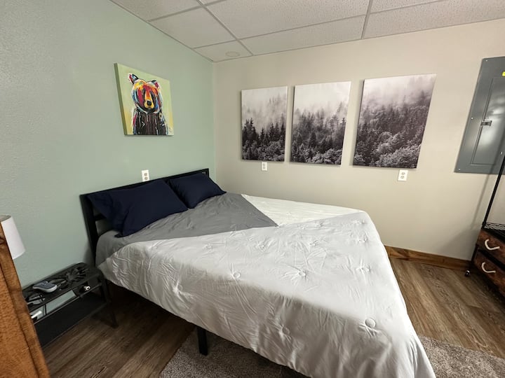 Lower Level- Third Bedroom