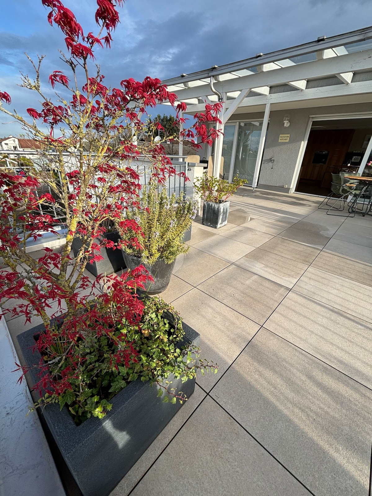A spacious terrace features large planters with vibrant red foliage and green plants. The surface is composed of light, modern tiles, and elements of outdoor furniture are visible in the background. Natural light casts soft shadows across the area.