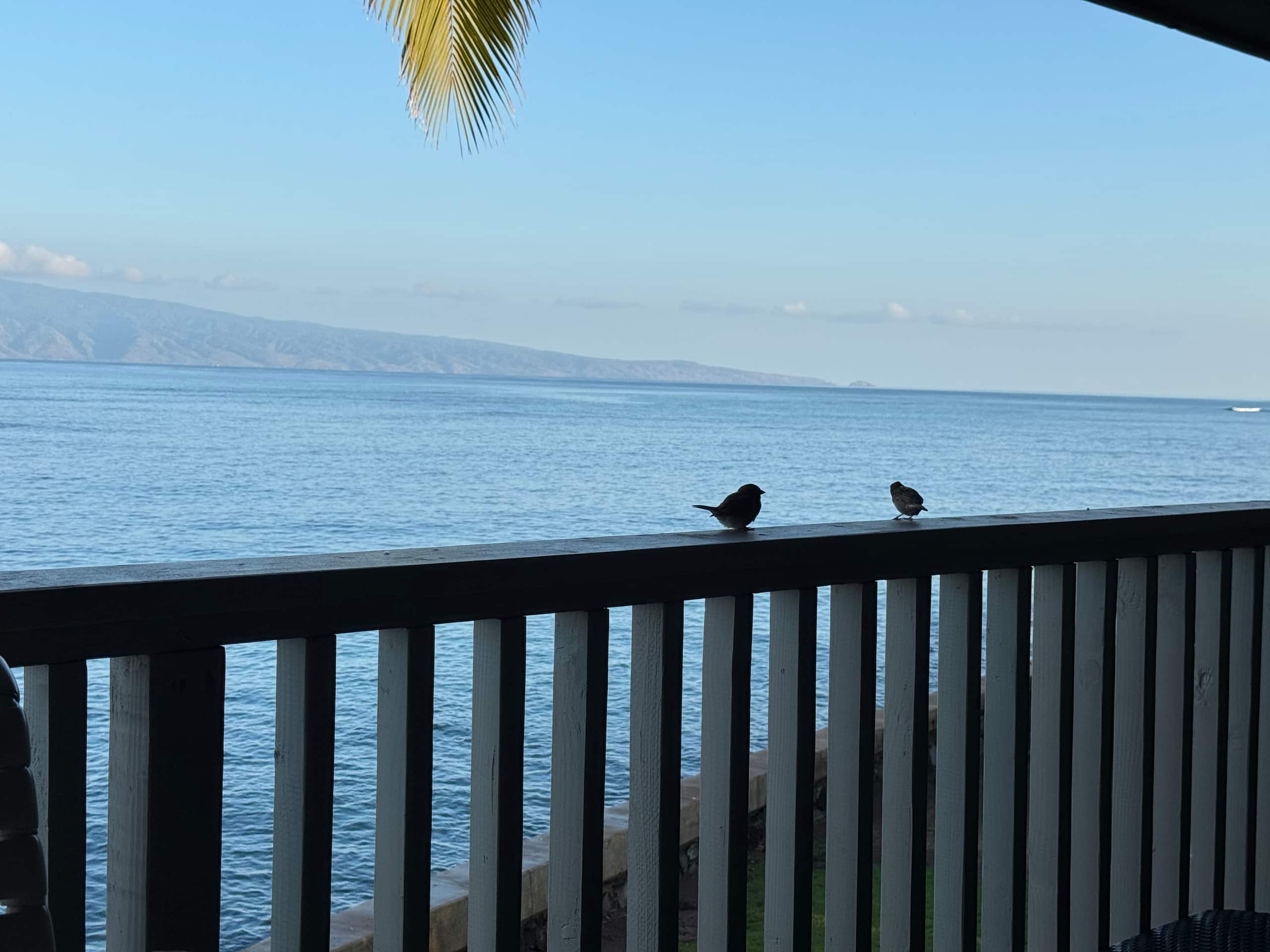 Condo in Lahaina · ★4.94 · Studio · 1 bed · 1 bath - Image 7
