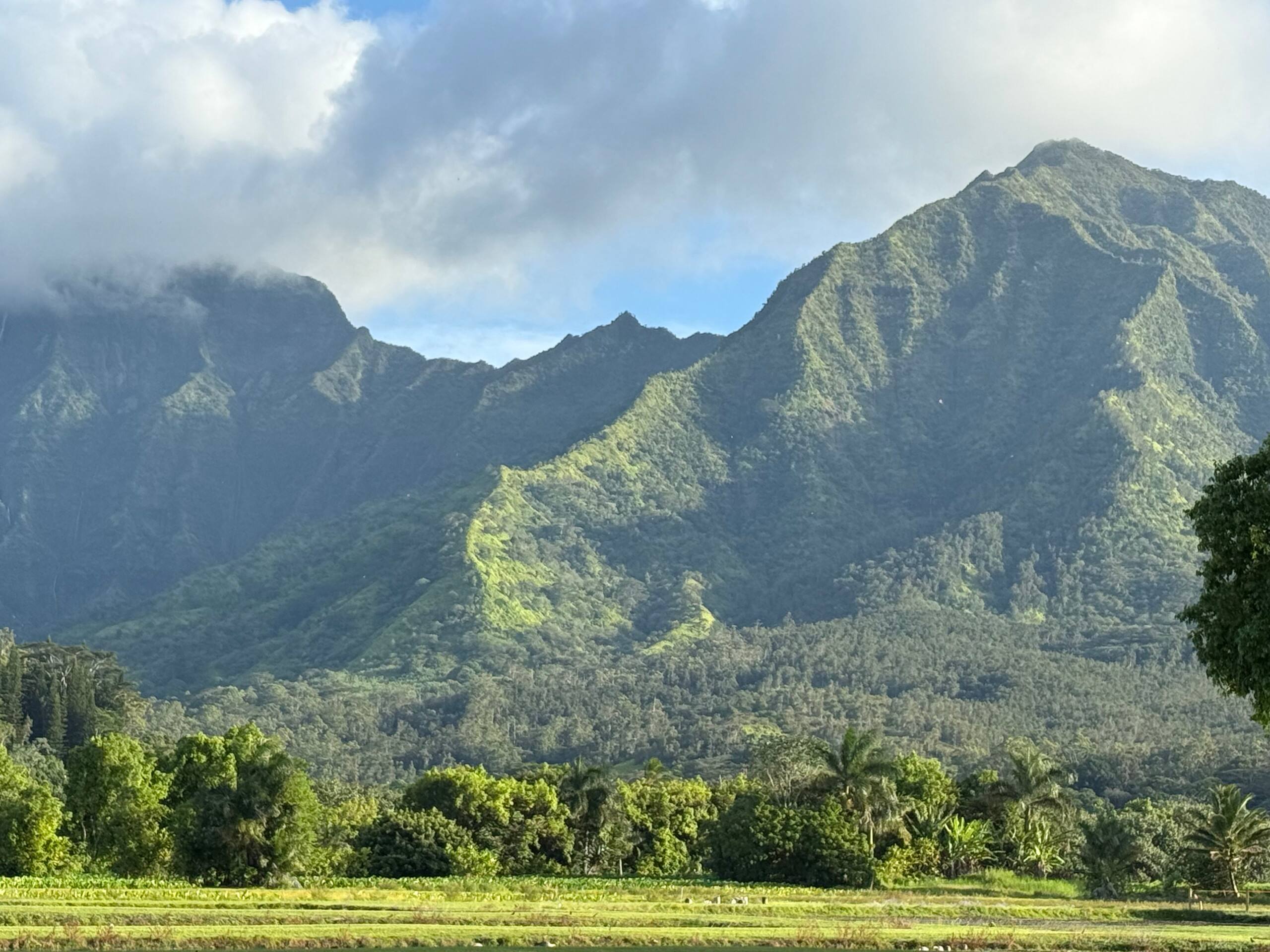 Condo in Princeville · ★4.67 · Studio · 2 beds · 1 private bath - Image 59