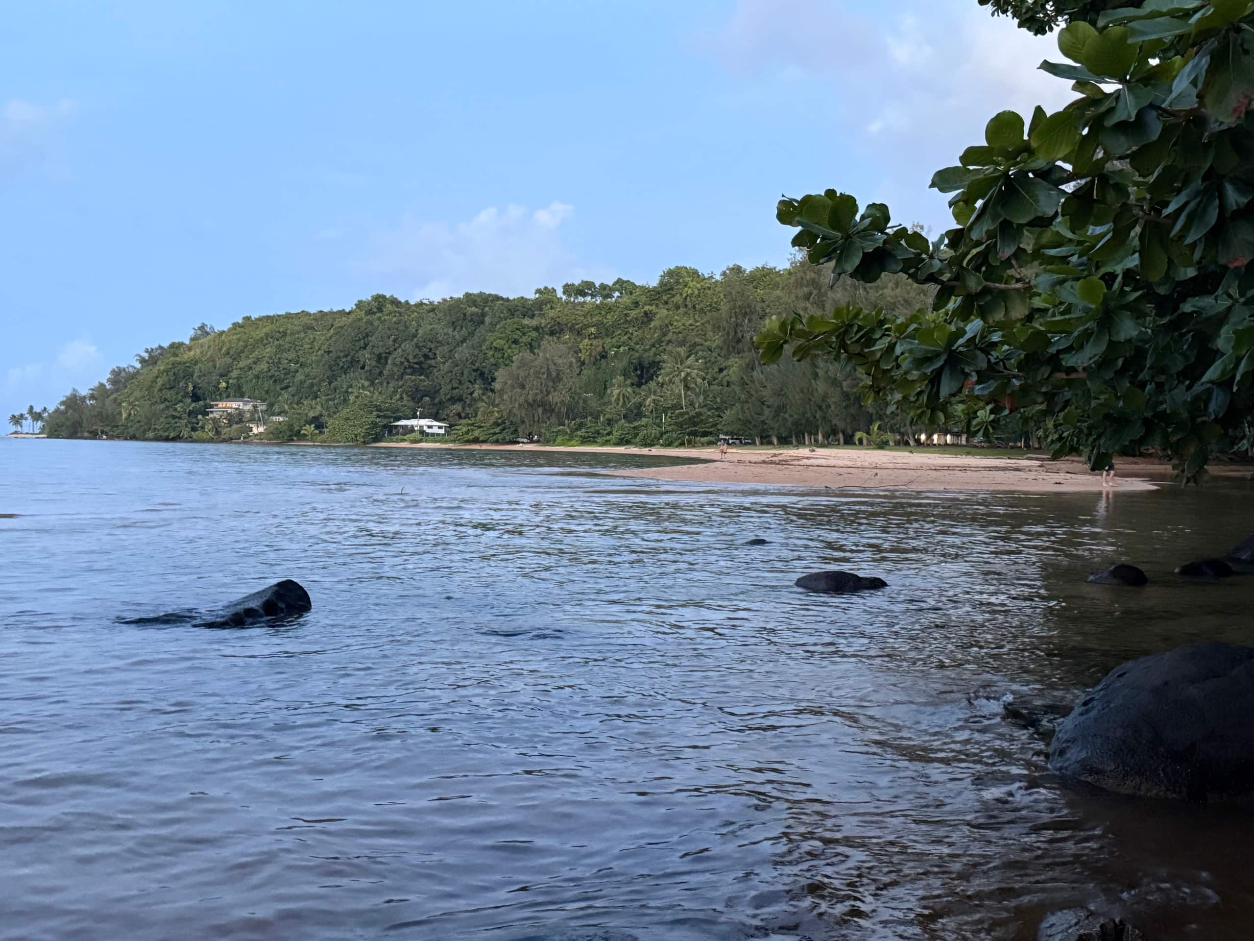 Condo in Princeville · ★4.67 · Studio · 2 beds · 1 private bath - Image 62