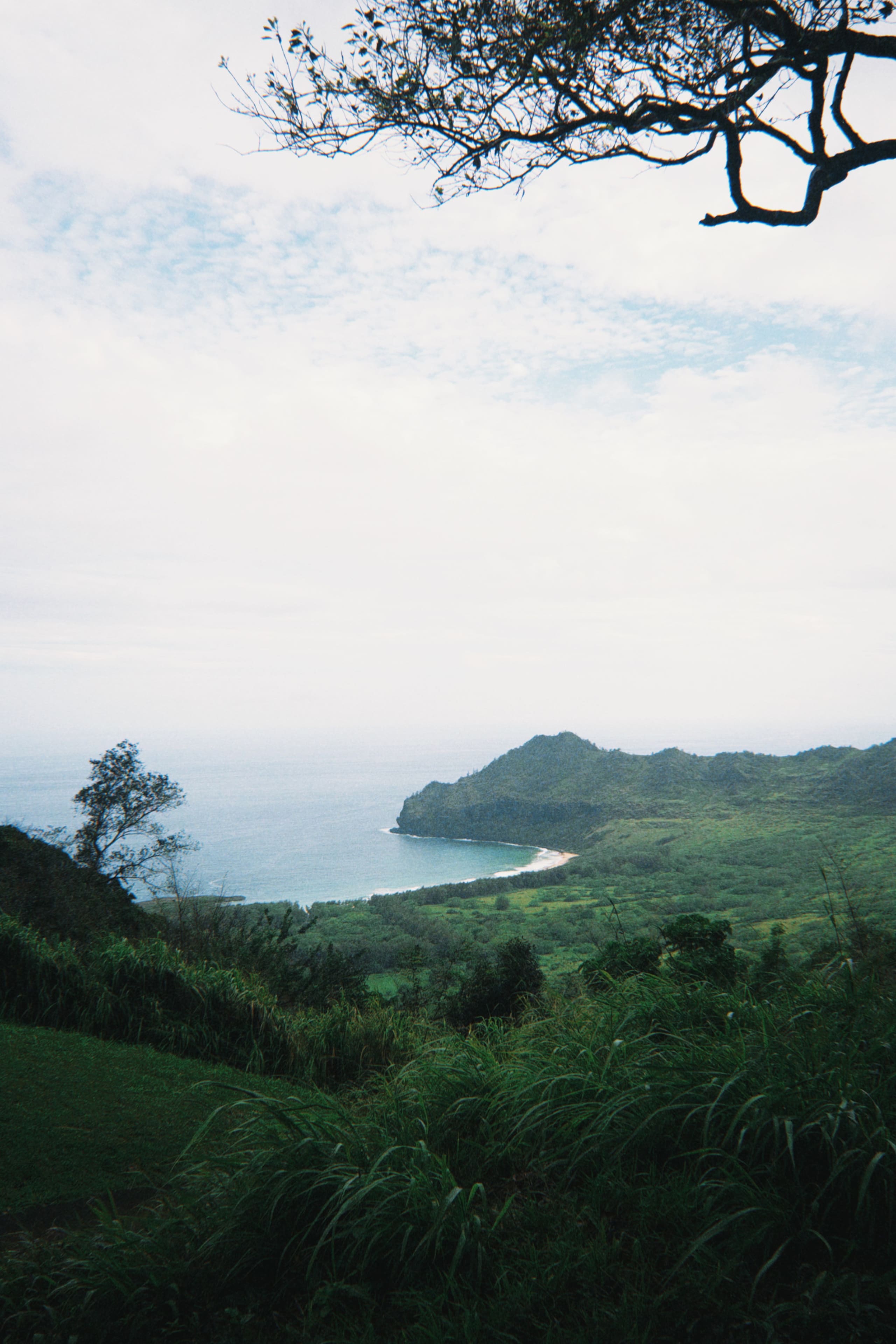Condo in Princeville · ★4.67 · Studio · 2 beds · 1 private bath - Image 4