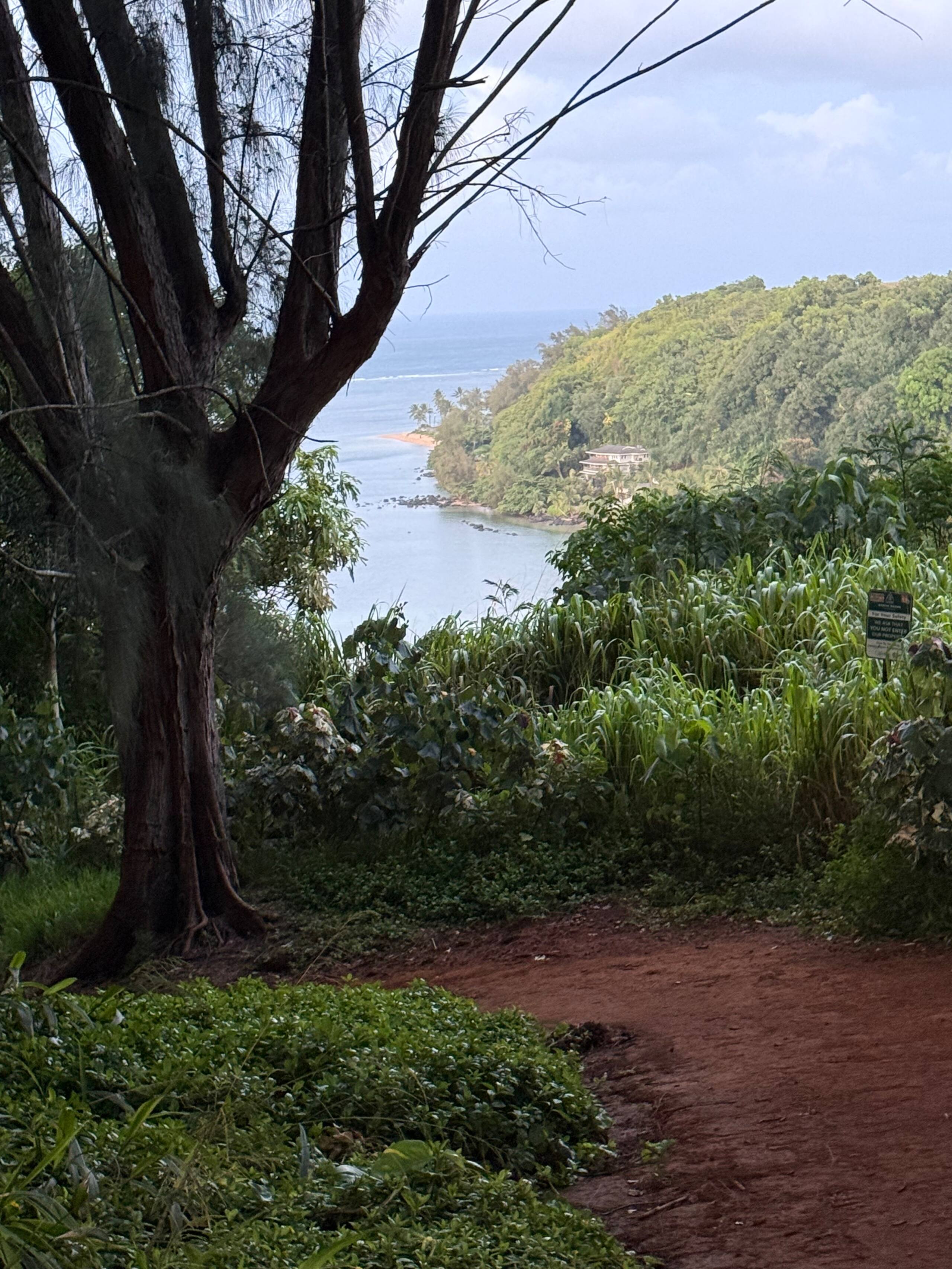Condo in Princeville · ★4.67 · Studio · 2 beds · 1 private bath - Image 63