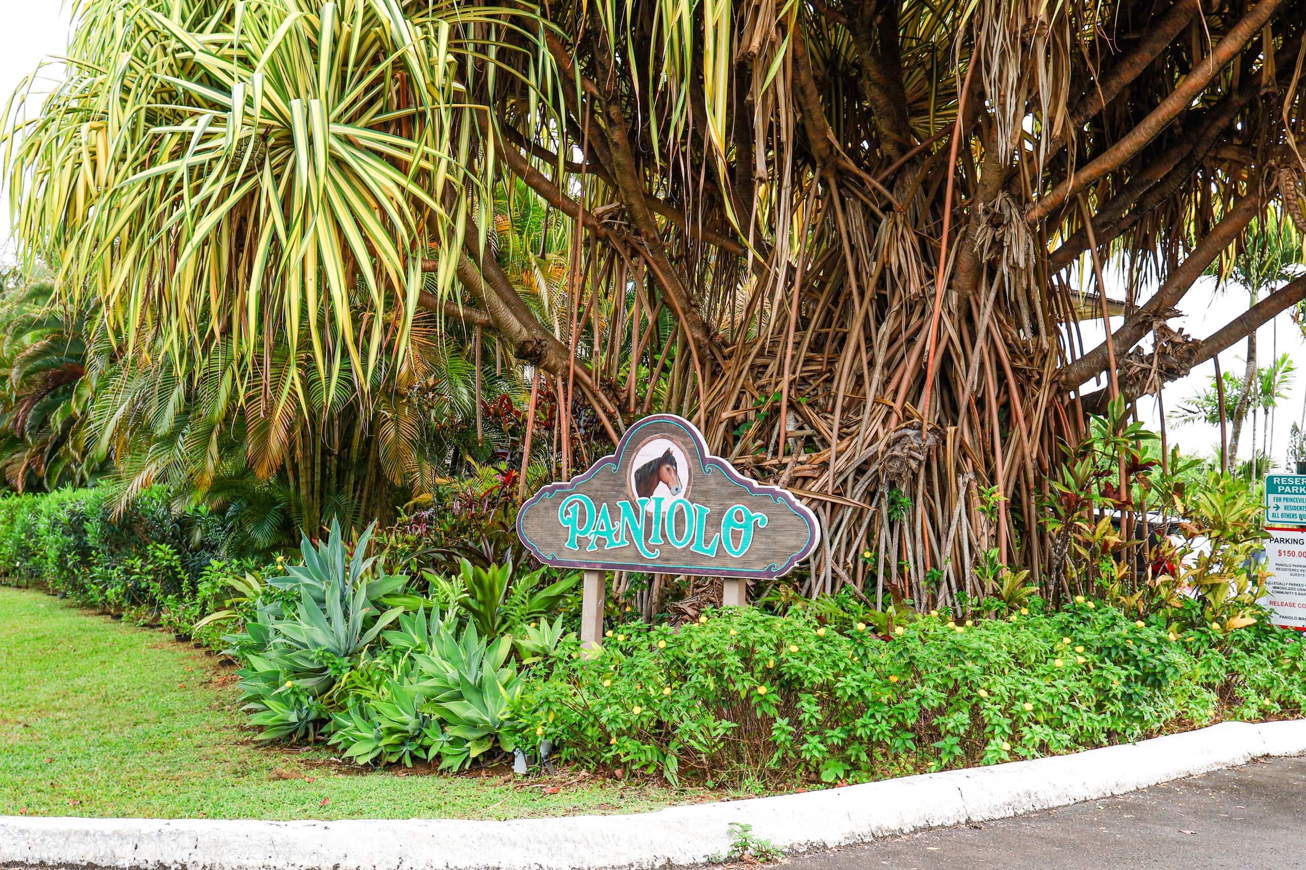 Condo in Princeville · ★4.67 · Studio · 2 beds · 1 private bath - Image 21