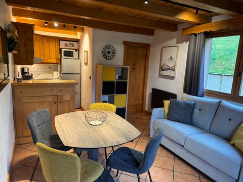 Top performing Airbnb: Cozy and well-located studio in the Alps in Savoie