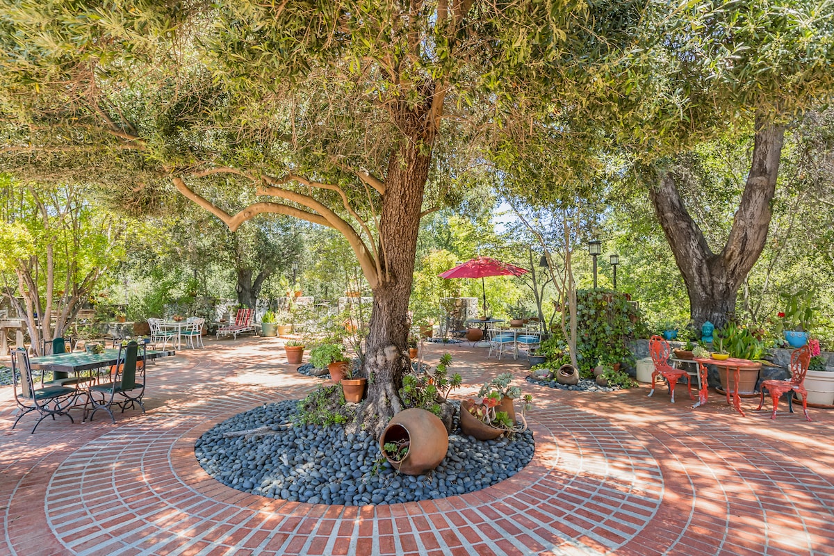 A landscaped outdoor area is centered around a large, mature tree, with brick pathways leading to various seating arrangements. Colorful potted plants and ceramic urns are distributed throughout the space, while shaded areas are provided by vibrant umbrellas, inviting relaxation in a tranquil garden setting.