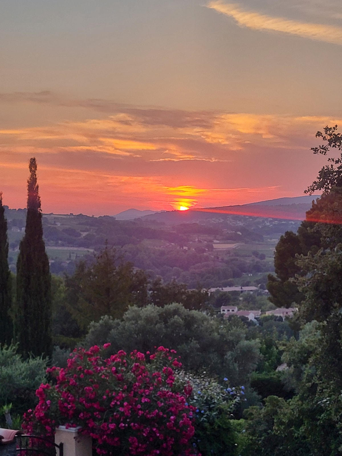 A serene sunset is viewed over a rolling landscape, with vibrant hues of orange and pink in the sky. Lush green trees and flowering plants, highlighted by clusters of pink blossoms, frame the scene, adding to the natural beauty of the surroundings.