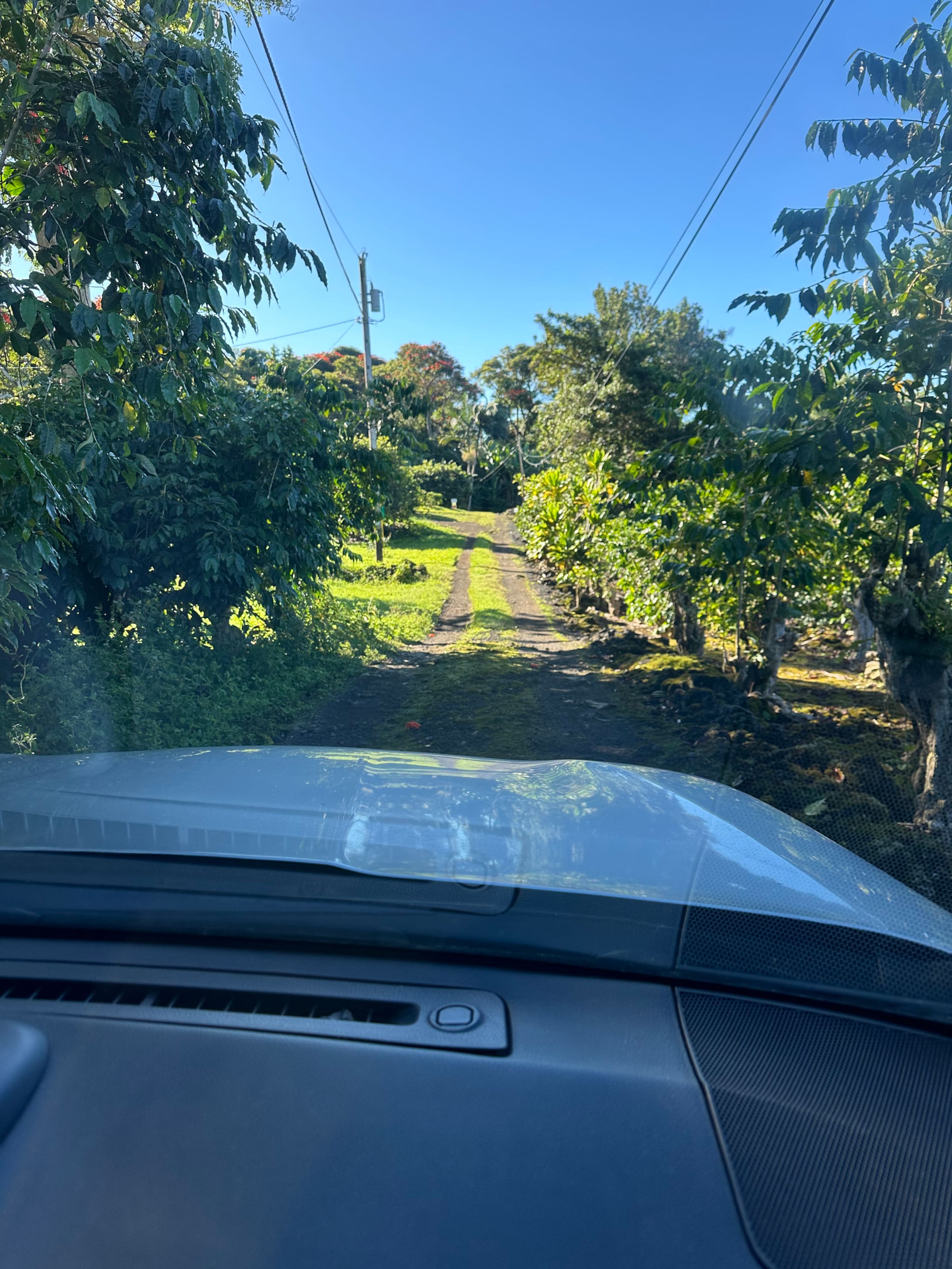 Io’s Nest- studio on a coffee farm with ocean view - Image 39