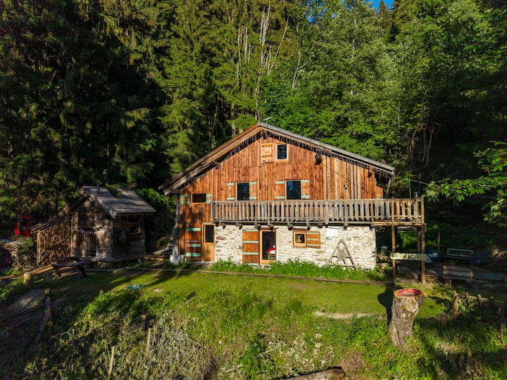 Chalet Dalpage De Charme, Vues Montagne - Les Houches