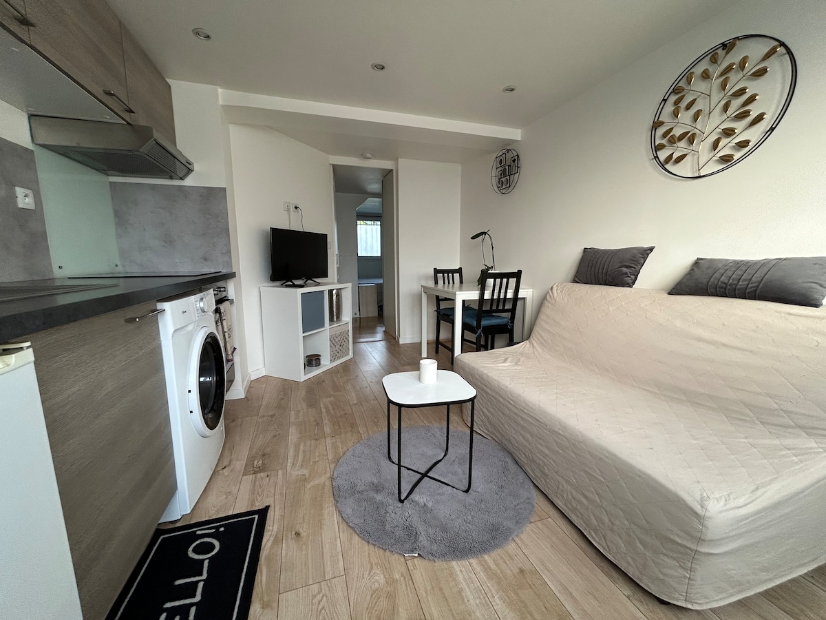 The open living area combines a kitchen, dining, and lounge space. A soft sofa is featured alongside a small round coffee table on a circular rug. A flat-screen TV and dining chairs are positioned near a window, enhancing the practical layout.