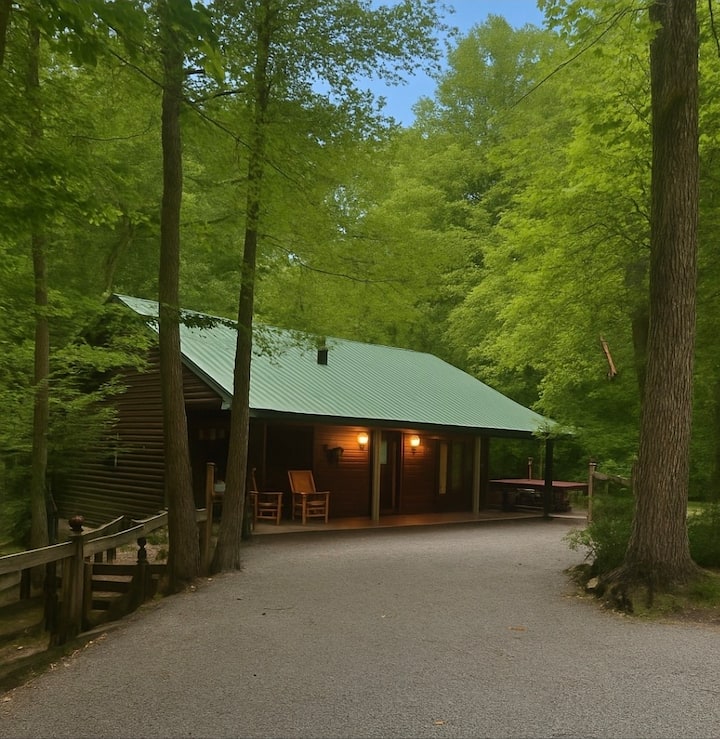 Smoky Mountain Park Cabin w/ Hot Tub