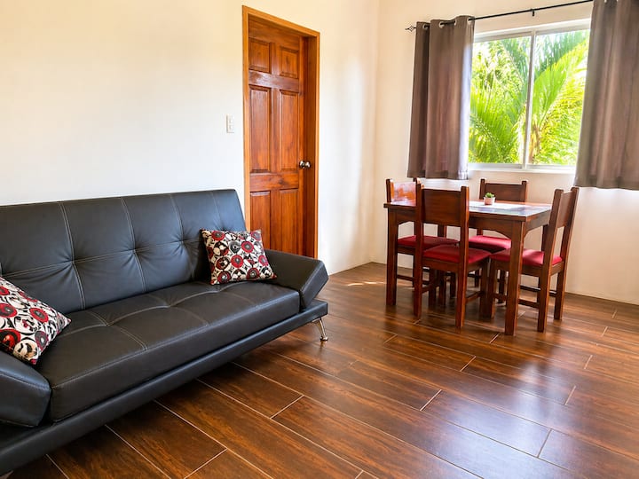 Luxurious Apartment In Puerto Viejo #3 - 