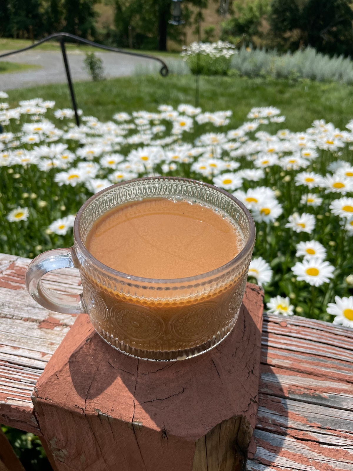 A clear glass mug of coffee is positioned on a rustic wooden surface, surrounded by a field of white daisies in full bloom. Green grass and trees are visible in the background, contributing to the serene outdoor setting.