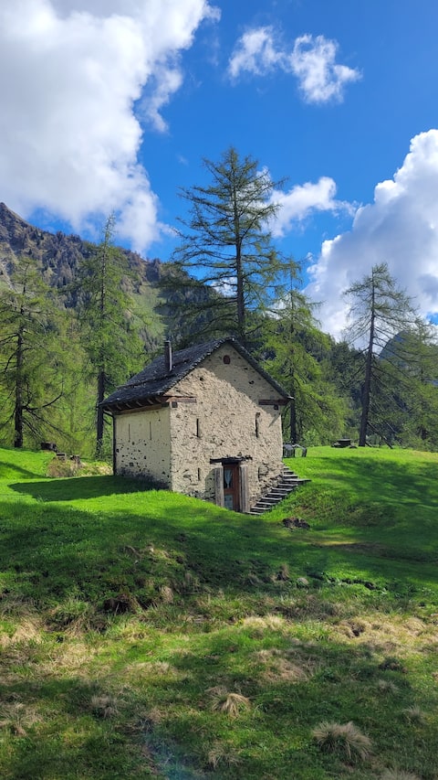 Top performing Airbnb: Cascina di Runloda In the sweet quiet among the larches in Ticino