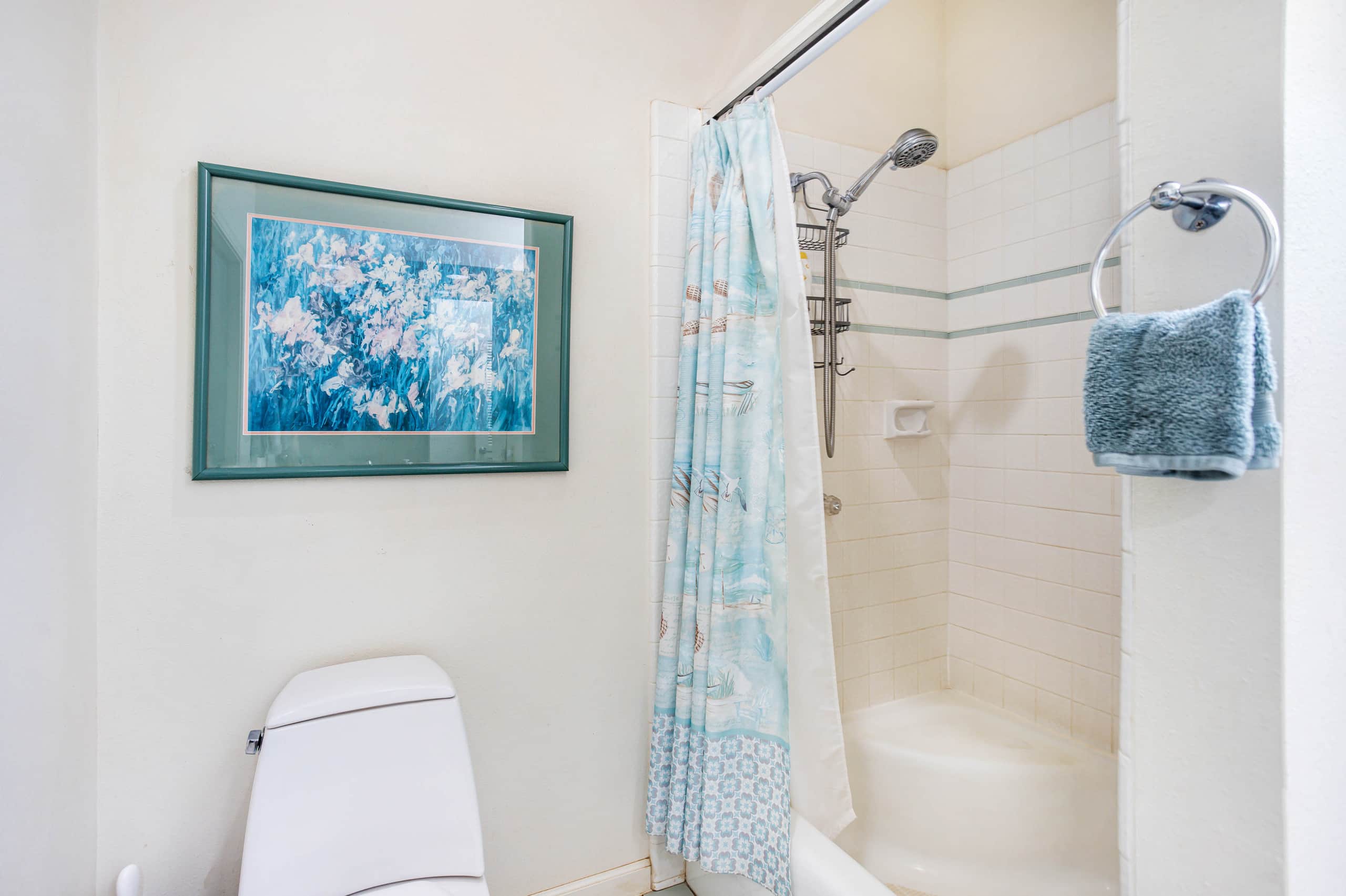 Kiahuna Paradise, 3bdr home, A/C, backyard pool - Photo 33