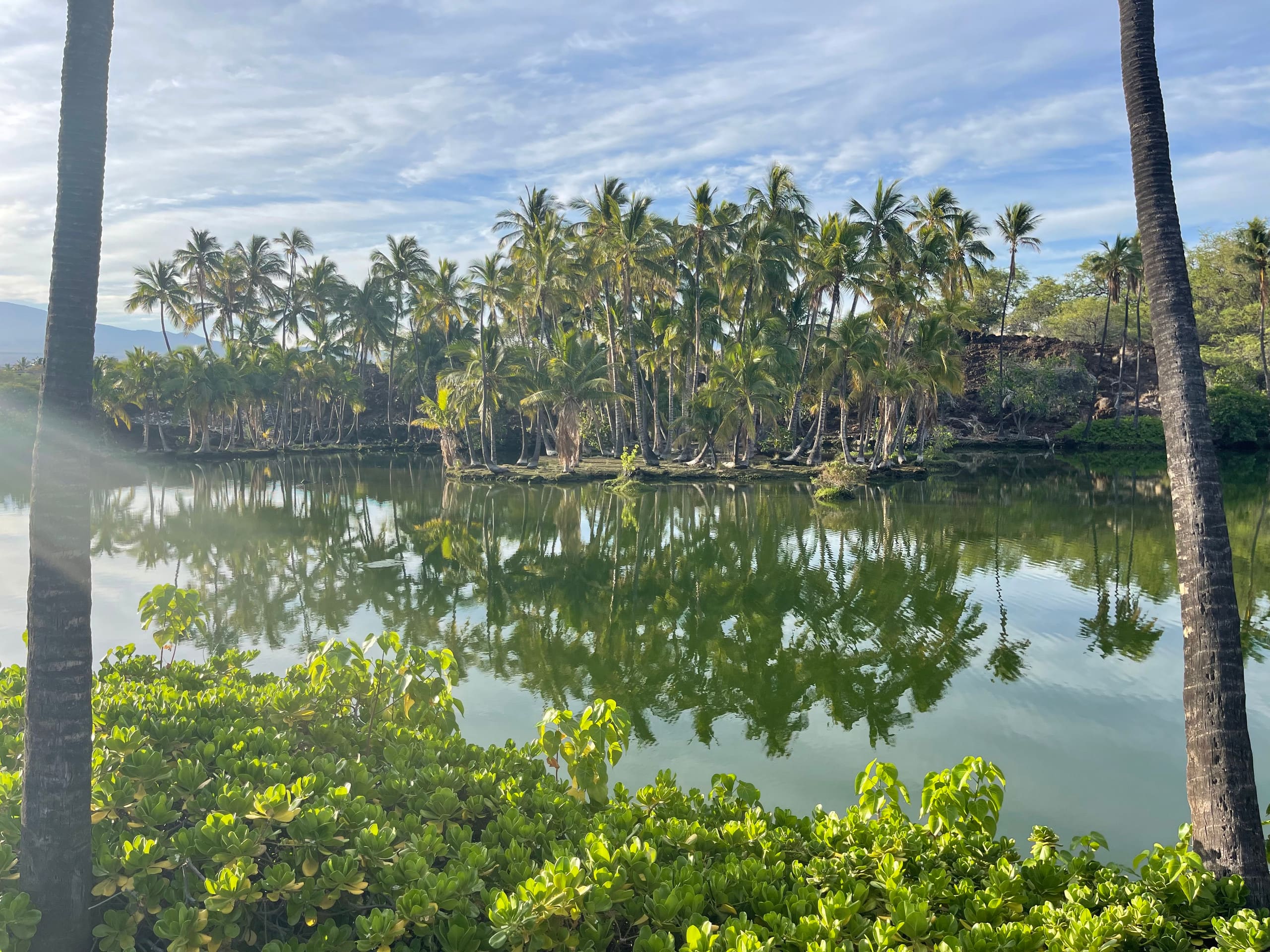 Townhouse in Waimea · ★5.0 · 2 bedrooms · 5 beds · 2.5 baths - Image 35