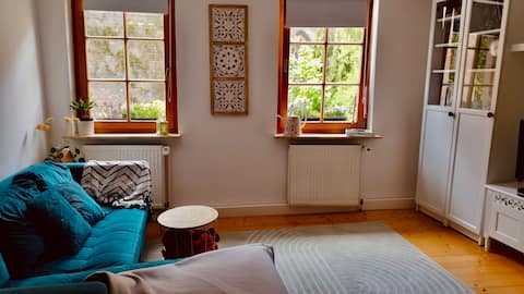 Top performing Airbnb: Lovingly furnished old town apartment in Worms