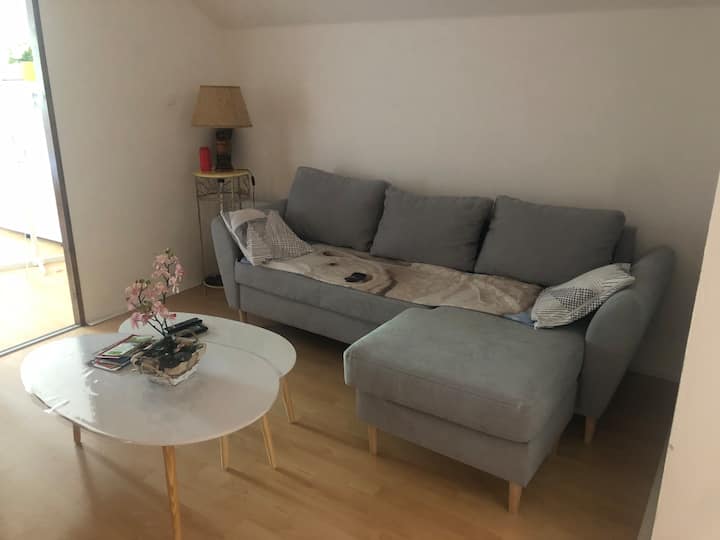 Appartement Dans Maison Individuelle - Audincourt