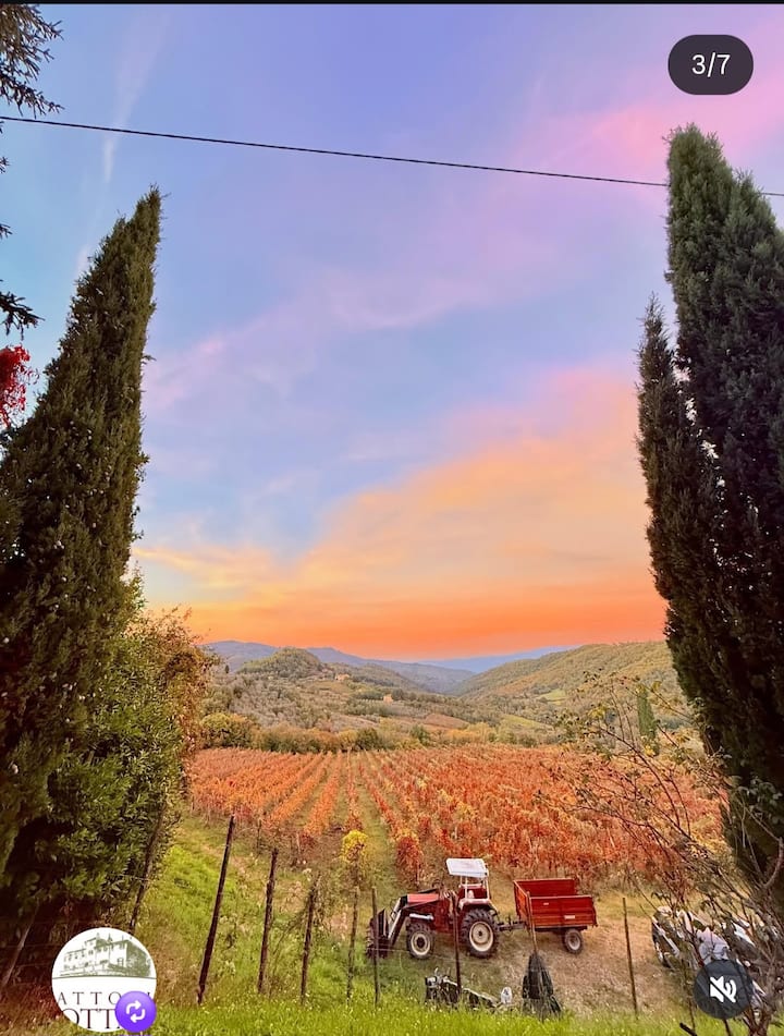 66 M² Appartamento Vacanza ∙ 2 Camere Da Letto ∙ 4 Ospiti - Greve in Chianti