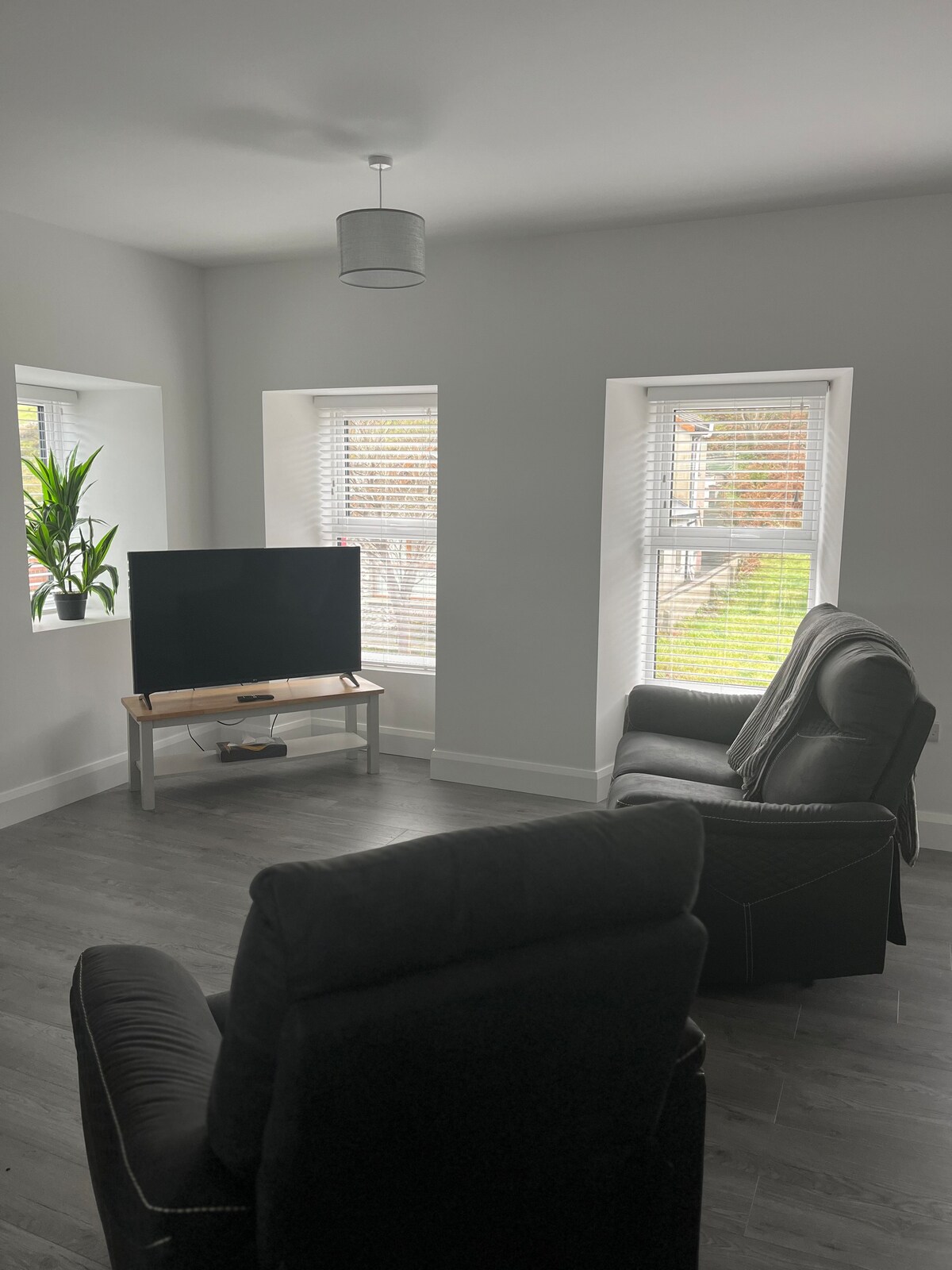 A welcoming living area features large windows with blinds, allowing natural light to fill the space. A flat-screen television rests on a light wood stand, with two comfortable armchairs positioned for relaxation. A leafy plant adds a touch of greenery to the ambiance.