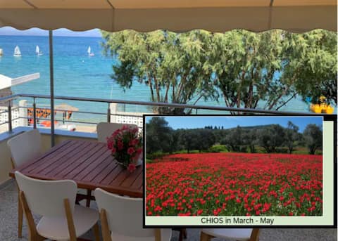 Blue Flag Award Winning Beach: Home 2