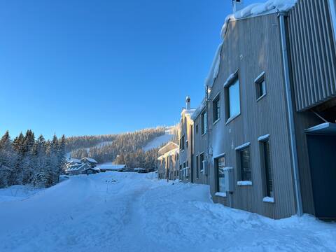 Ski in/ski out Funäsdalsberget/Kåvan. Newly built apt!
