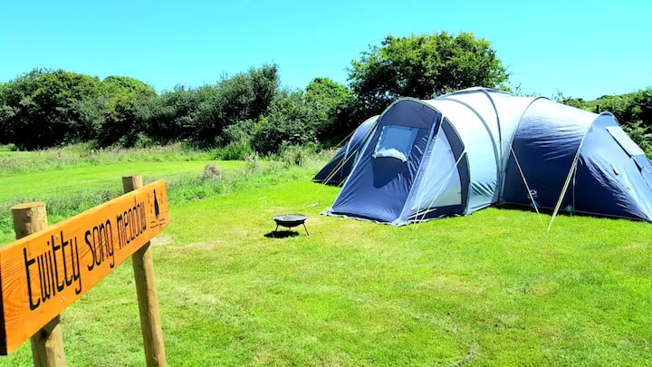 Twitty Meadow Large Grass Pitch 1 @Strawfields - Devon