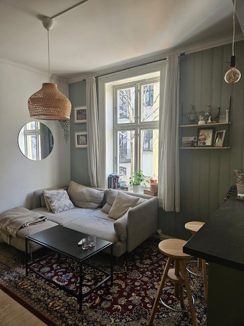 Top performing Airbnb: Apartment in the middle of Grünerløkka! in Grünerløkka