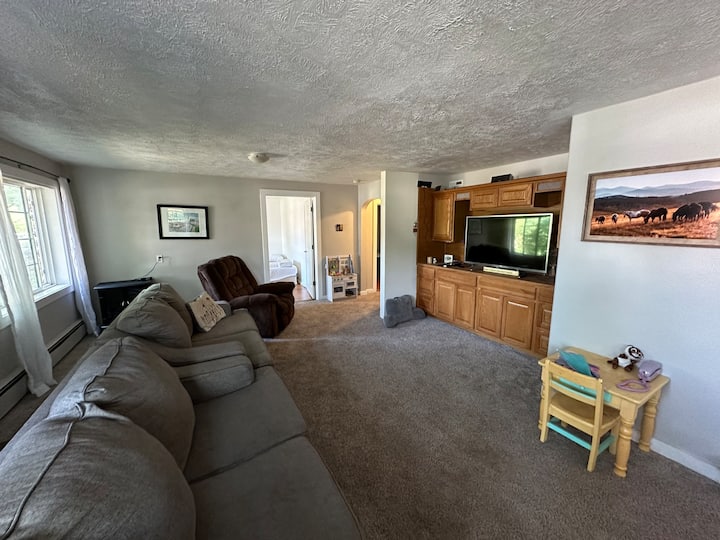 Downtown Basement Apartment