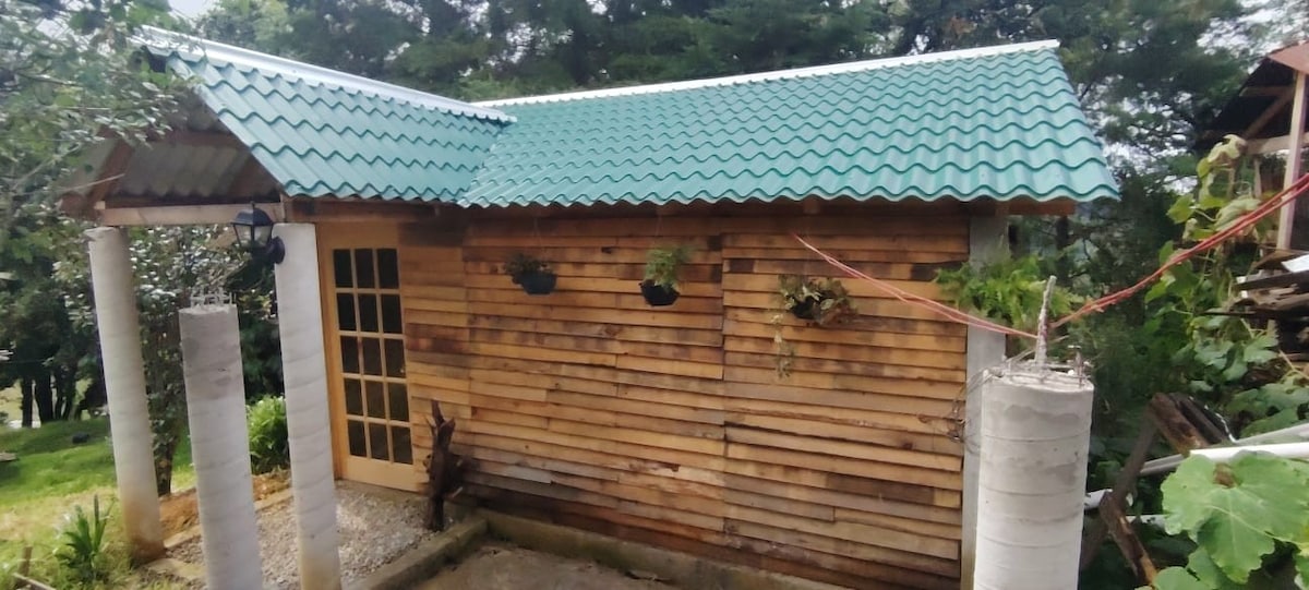 The exterior of the cabin features a wooden façade complemented by a green metal roof. Several planters hang from the front, and four concrete pillars support the entrance area. Lush greenery surrounds the structure, enhancing the serene setting.