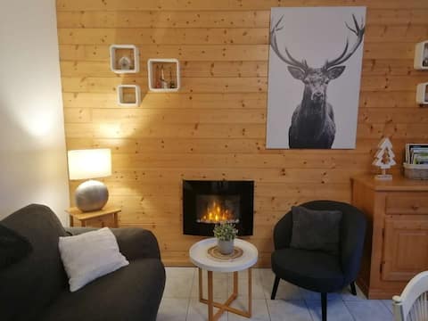 Propriété Airbnb réussie: Les Agapanthes Apartment, 3 stars near the lake à Gérardmer