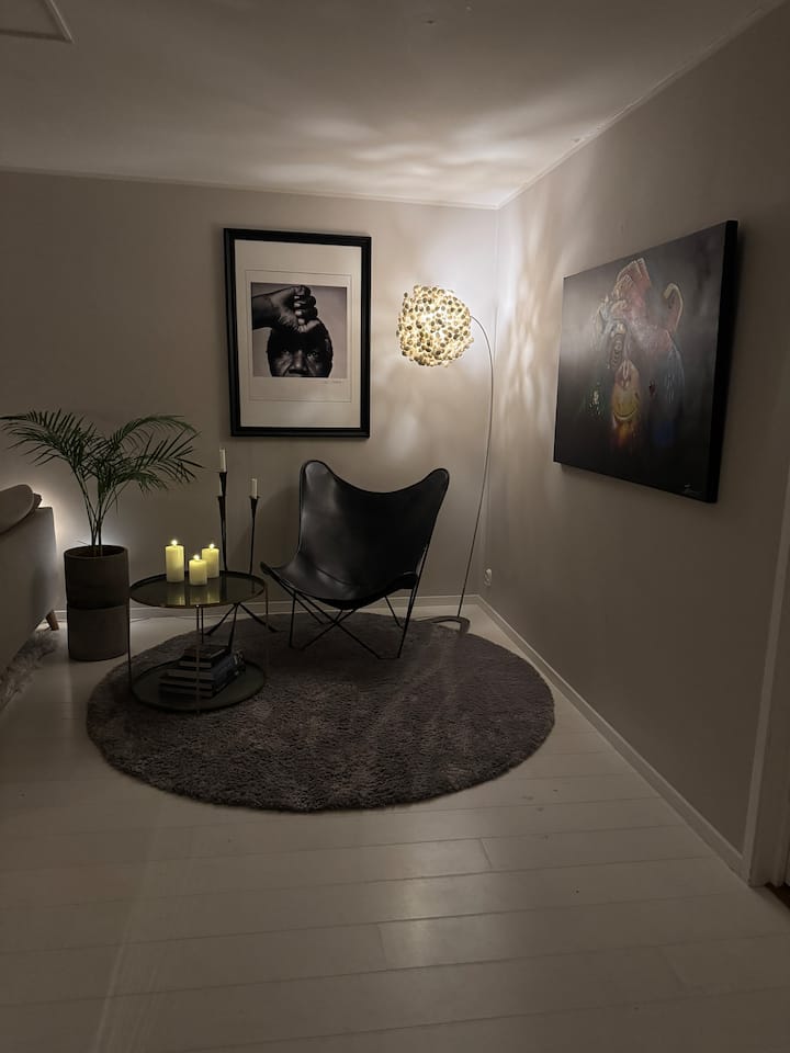 Big Apartment In Stockholm City - Stockholm