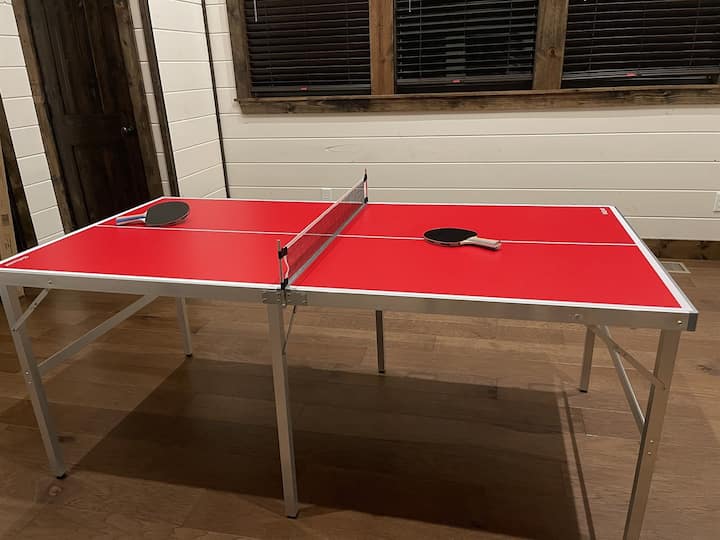Ping pong championship anyone?
