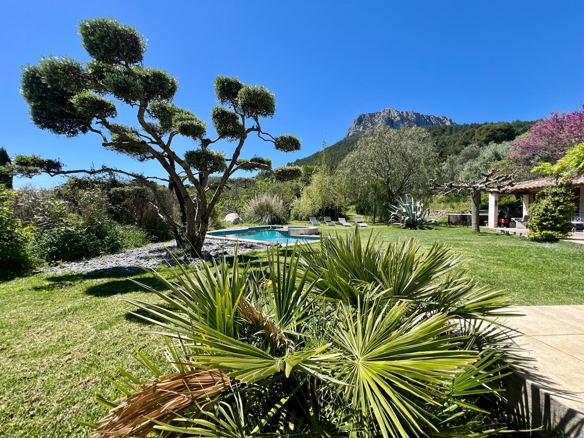 A serene outdoor space is presented, featuring a well-maintained pool surrounded by lush greenery. A sculpted tree adds character to the landscape, while palm plants occupy the foreground. In the background, a mountain is visible, complementing the tranquil setting.