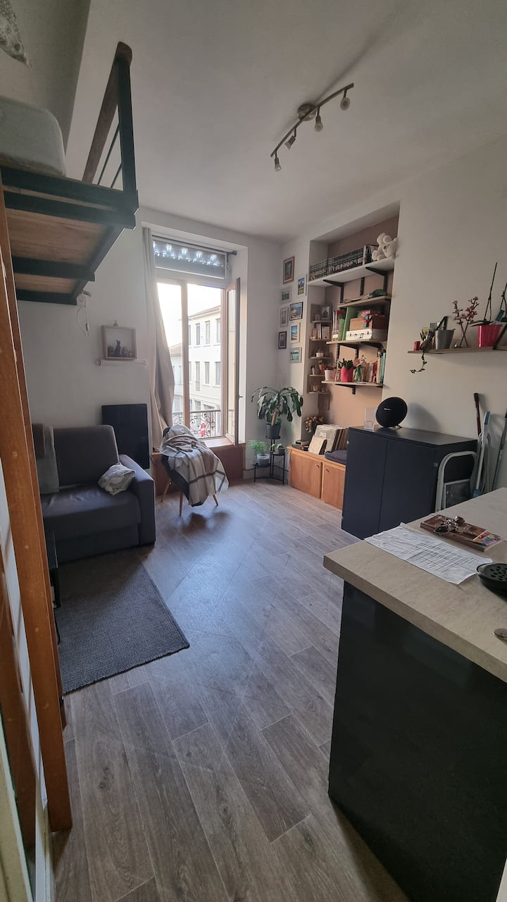Lyon : Studio Fonctionnel Et Bien Situé - Lyon