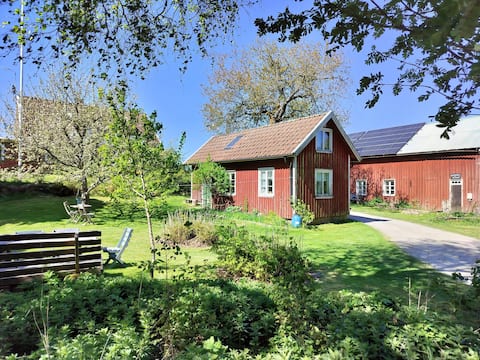 Rural cottage on a farm with many animals.