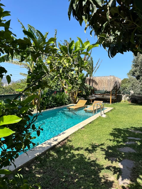 Palaemondat villa with a pool